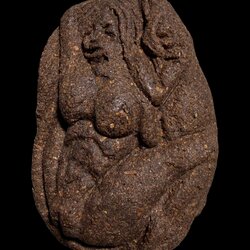 นางจิ้งจกเสน่ห์ Lady Gecko. SKU-03541