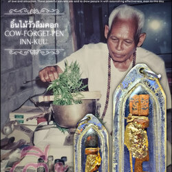 อิ้นไม้วัวลืมคอก Cow-Forget-Pen Inn-Kuu. SKU-04052