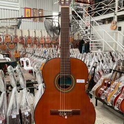 กีต้าร์คลาสสิค Muse : G1P