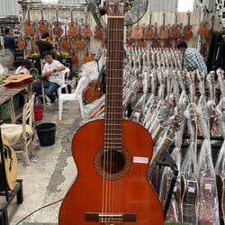 กีต้าร์คลาสสิค YAMAHA : G-120