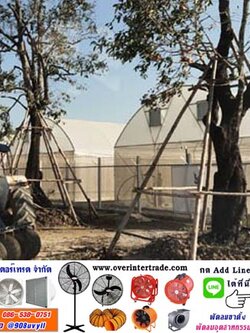 พัดลมโรงกัญชา ที่มีคุณภาพ จึงช่วยแก้ปัญหา การทำการโรงปลูกกัญชาที่สำคัญ พัดลมแปลงกัญชา มีให้เลือกหลายรุ่น จากโอเวอร์อินเตอร์เทรด