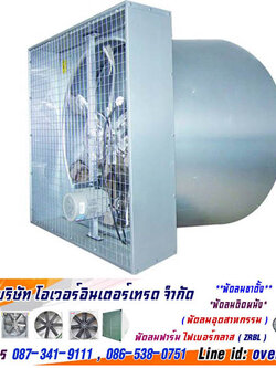 พัดลมฟาร์มกรวย โปรโมชั่น, พัดลมกรวย , พัดลมรูปกรวย , พัดลมเกษตร พร้อมตะแกรงปิดใบพัดหน้าหลัง, พัดลมฟาร์มมีกรวย