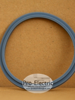 ยางกันน้ำรั่ว BL312