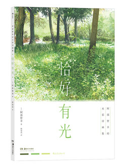(Pre-order) หนังสือรวมผลงานระบายสีน้ำของ Toshiyuki Abe