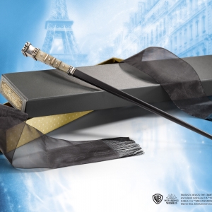 Spielman’s Wand and Collector Box