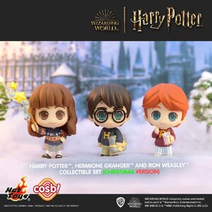 Harry Hermione Ron Collectible Set Christmas Version Hot Toys