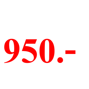 โปรโมชั้นแอมป์กีต้าร์และเบส ราคา 950.-บาท