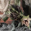 Capcom Figure Builder Creator's Model Monster Hunter Female Fire Wyvern Rathian Ver.2.0 Complete Model(Pre-order)