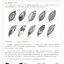 (Pre-order) หนังสือสอนวาดลายเส้น The Magic Of Line