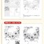 (Pre-order) หนังสือลายเส้นสเก็ตช์สีขาว-ดำ The Beauty of Flowers and Plants