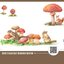 (Pre-order) หนังสือระบายสีน้ำภาพสัตว์น่ารัก critters watercolor