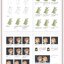 (Pre-order) หนังสือ Procreate painting tutorial