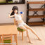 Sousai Shoujo Teien Dress-up Body [M] 1/10 Plastic Model(Pre-order)