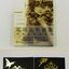 (Pre-order) หนังสือ ART WORKS 2005-2014 SHIHO ENTA