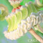 "Cake Fairies Matcha" illustration by aruk 1/7 Complete Figure(Pre-order)