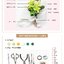 (ลดราคา-มีรอยจากการขนส่ง) หนังสือสอนปั้นดินดอกไม้