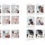 (Pre-order) หนังสือรวมผลงานภาพวาด Fall into a Reverie