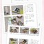 (Pre-order) หนังสือ delicious food journal