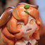 Salmon Spirit Caramel Complete Figure(Pre-order)