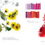 (Pre-order) หนังสือภาพระบายสีน้ำ Le jardin de Claude Monet à Giverny