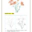 (Pre-order) หนังสือวาดฉากสำหรับการ์ตูนจีนย้อนยุค