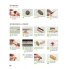 (Pre-order) หนังสือสอนปั้นดินและโมเดลจิ๋ว User friendly clay art & miniature DI โดยอาจารย์ชาวเกาหลี