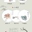 (Pre-order) หนังสือวาดภาพขนาดเล็กสไตล์จีนแบบง่ายๆใน 8 ขั้นตอน