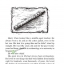หนังสืออ่านนอกเวลาภาษาอังกฤษเรื่อง The Fruitcake Special & Other Stories (ระดับ 4) The Fruitcake Special & Other Stories (Level 4)