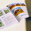 (Pre-order) หนังสือ OIL PAINTING STICK