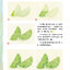 (Pre-order) หนังสือระบายสีน้ำ FRESH VEGETABLES AND FRUITS IN WATERCOLOR