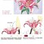 (Pre-order) หนังสือเทคนิคระบายสีน้ำ