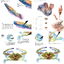 (Pre-order) หนังสือระบายสีน้ำ PAINTING SKILLS OF ORIENTAL MARINE ORGANISM