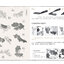 (Pre-order) หนังสือสอนวาดภาพสไตล์จีน 1 ชุด มี 3 เล่ม