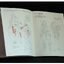 (Pre-order) หนังสือ HUMAN STRUCTURAL FORM AND CHARACTER DESIGN