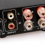 MUSE M20 EX2 Power Digital Amplifier T-Amp 2*20W TA2020 Amplifer (Gold)
