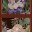 (Pre-order) หนังสือ SHINE PAINTING PROCREATE