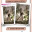 (Pre-order) หนังสือตัวอย่างภาพท่าทางการเคลื่อนไหวสำหรับใช้เป็นแบบอ้างอิงวาดเกมและอนิเมชั่น