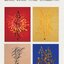 (Pre-order) หนังสือ Calligraphy ของ Jason Peng