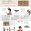 (Pre-order) หนังสือสอนวาดภาพระบายสีด้วยพู่กันจีน Traditional Chinese realistic painting