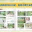 (Pre-order) หนังสือสอนใช้สีไม้ระบายน้ำ ฉบับนักท่องเที่ยว โดยอาจารย์ชาวญี่ปุ่น
