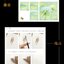 (Pre-order) หนังสือสอนระบายสีน้ำ FLOWERS PAINTING