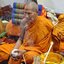 น้ำมันมนต์เสน่ห์มหาหลง + ผงอกแตก หลวงพ่อแป๋ว วัดดาวเรือง จ.สิงห์บุรี