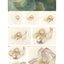 (Pre-order) หนังสือระบายสีน้ำภาพดอกไม้
