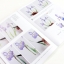 (Pre-order) หนังสือสอนระบายสีน้ำเบสิคพื้นฐานภาพดอกไม้