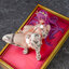 [Bonus] Bakunyuu Party NTR Terrena 1/6 Complete Figure(Pre-order)