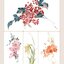 (Pre-order) หนังสือระบายสีน้ำสไตล์ย้อนยุคภาพพืช
