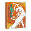 (Pre-order) หนังสือเรียนวาดภาพบอดี้ร่างกาย & ท่าทางการเคลื่อนไหว จากศิลปะ Dunhuang