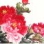 ภาพวาดเสริมมงคลฮวงจุ้ย ภาพดอกโบตั๋นบานสะพรั่ง 中式招财字画墨画牡丹富贵花开 Chinese Lucky Calligraphy & Painting Ink Painting Peony Rich Flower Blossoming ภาพประดับเสริมฮวงจุ้ย เพื่อเป็นสิริมงคล ใช้ประดับห้องทำงาน ห้องประชุม ห้องรับแขก ห้องอาหาร ทำให้ดูสวยงาม