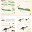 (Pre-order) หนังสือสอนวาดภาพสไตล์จีนแบบดั้งเดิมระดับเริ่มต้น
