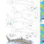 (ลดราคา-มีรอยจากการขนส่ง) หนังสือ 10 STEP DRAWING Animals